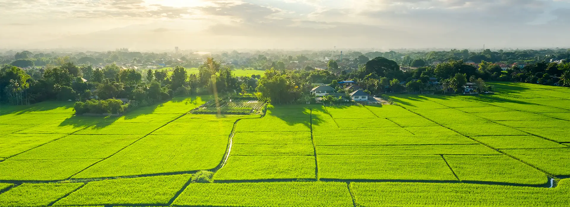 House Of Abhinandan Lodha NCR Banner